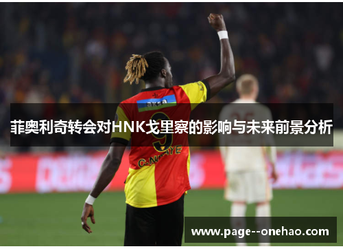 菲奥利奇转会对HNK戈里察的影响与未来前景分析