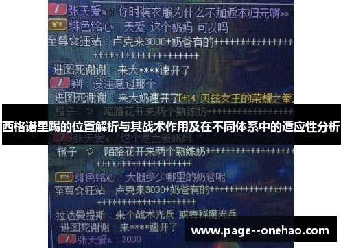 西格诺里踢的位置解析与其战术作用及在不同体系中的适应性分析