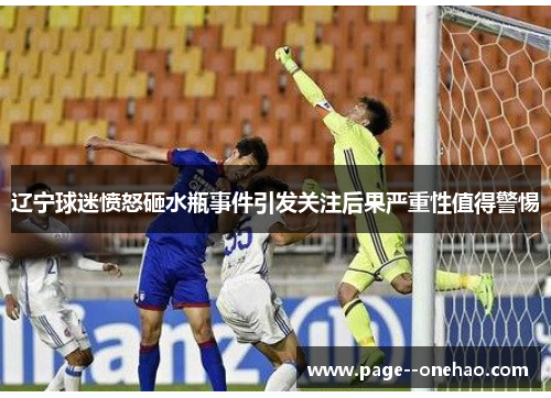 辽宁球迷愤怒砸水瓶事件引发关注后果严重性值得警惕