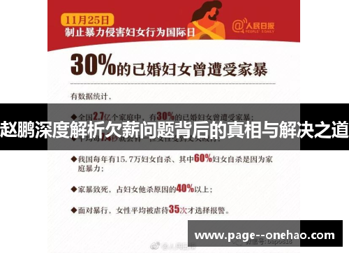 赵鹏深度解析欠薪问题背后的真相与解决之道