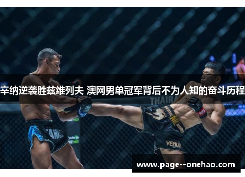 辛纳逆袭胜兹维列夫 澳网男单冠军背后不为人知的奋斗历程