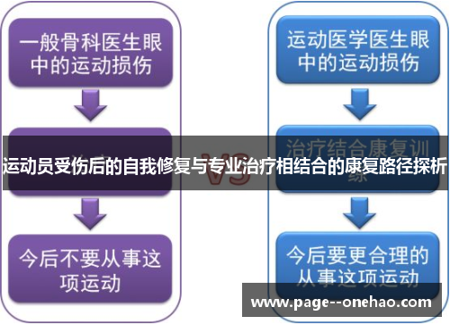 运动员受伤后的自我修复与专业治疗相结合的康复路径探析